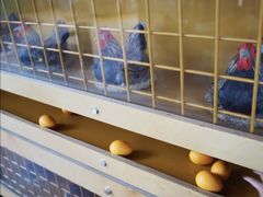 -呼和浩特市老牛儿童探索馆