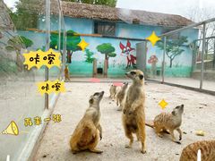 -苏州太湖西山岛开心农场