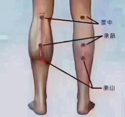 -香薇妮丝女子减肥院