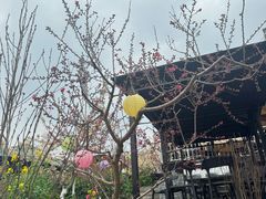 -桃源山庄·水蜜桃采摘·柴火鸡·烧烤团建(龙泉山店)