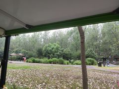 -合肥滨湖国家森林公园