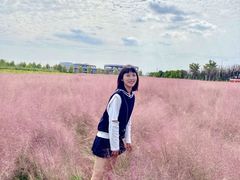 -映月湖中央公园