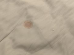 -中山利和希尔顿酒店
