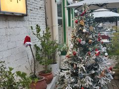 -春树下·树屋花房西餐厅(罍街AS1980店)