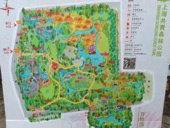 -上海共青森林公园