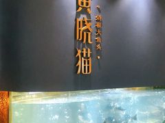 门面-黄晓猫剁椒大鱼头(海岸城店)