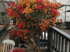 -粥旺庄(芳村店)