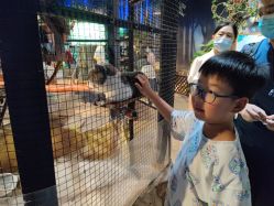 -酷嗒动物文化乐园(cutezoo西溪乐天城店)