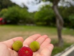 -广州市流溪河国家森林公园
