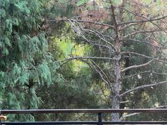 -三峡国际房车露营地(G348店)