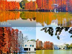 -中国科学院华南植物园