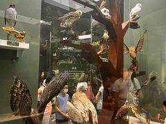 -国家自然博物馆