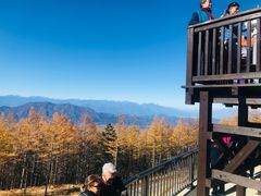 -富士山吉田線五合目