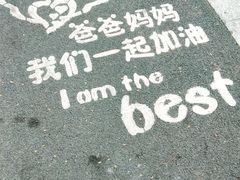 -王借岗森林公园