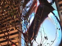 -桂满陇·海市蜃楼·黑金(国金店)