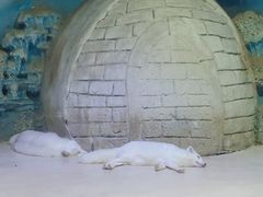 -华夏文旅海洋公园