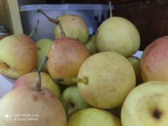 -老字号.雅克白族石板烧十年老店(大理古城店)