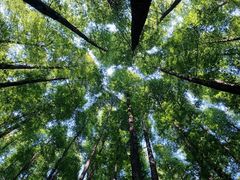 -山王坪喀斯特国家生态公园