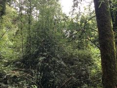 -梦姑塘文化公园