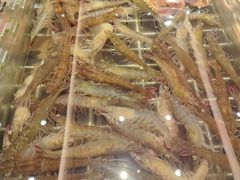 -浩运·海鲜青岛菜·海胆水饺(石老人店)
