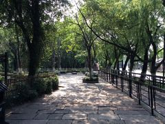 -乌镇东栅景区