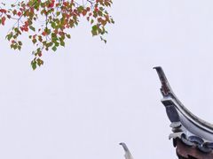 -老门东历史文化街区
