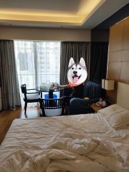 -熹月国际月子会所(天河店)
