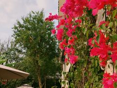 -悦哉·派对·草坪婚礼·围炉煮茶(三圣乡店)