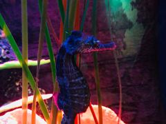 -沈阳海洋探索中心