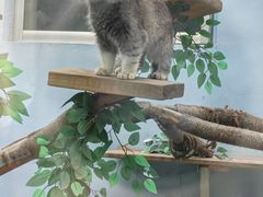 -青藏高原野生动物园