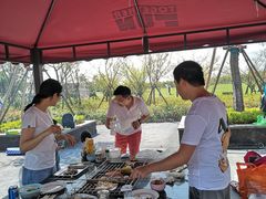 -春花秋色城市公园