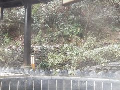 -明月山天沐温泉度假村