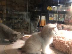 -顺华粉馆(桃园南路店)