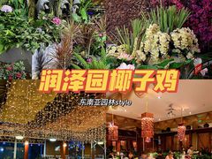 -润泽园椰子鸡(汇一城店)