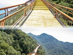 -少华山国家森林公园