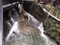 -将军关探险漂流