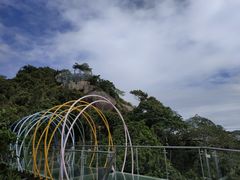-亚龙湾热带天堂森林公园