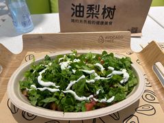 -油梨树 AVOCADO TREE(亮马桥店)