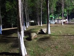 -凤岗南门山森林公园