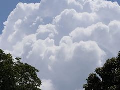 -深圳野生动物园