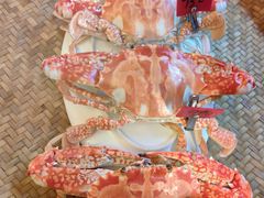 -吴记富苑(朝阳店)