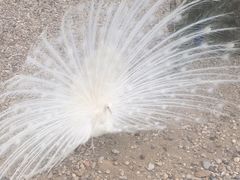 -南京金牛湖风景区