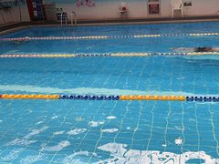 -奇缘游泳培训基地(辰茂店)