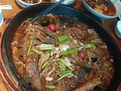 -老板恋上鱼(恒隆广场店)