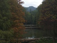 -云溪植物园