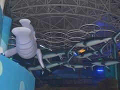 -烟台海昌鲸鲨海洋公园