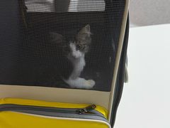 -谐和贝康宠物医院24小时·宠保定点(急重症转诊中心)