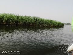 -白洋淀风景区