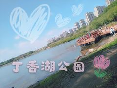 -丁香湖公园