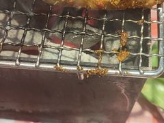 -生火火·地摊小炉子烧烤(龙湖北城金冠店)